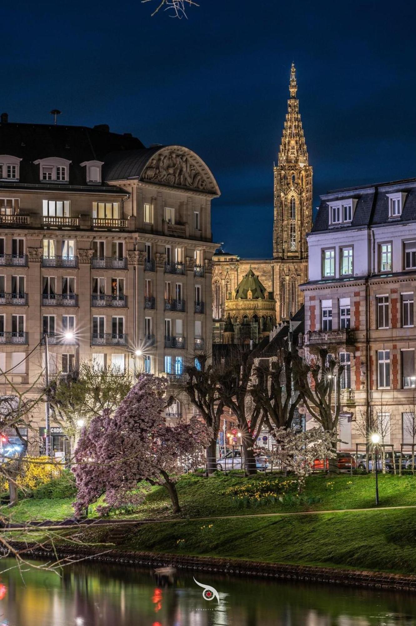 Appart & Studio Hyper Centre De Strasbourg - Proche Cathedrale & Petite France Zewnętrze zdjęcie