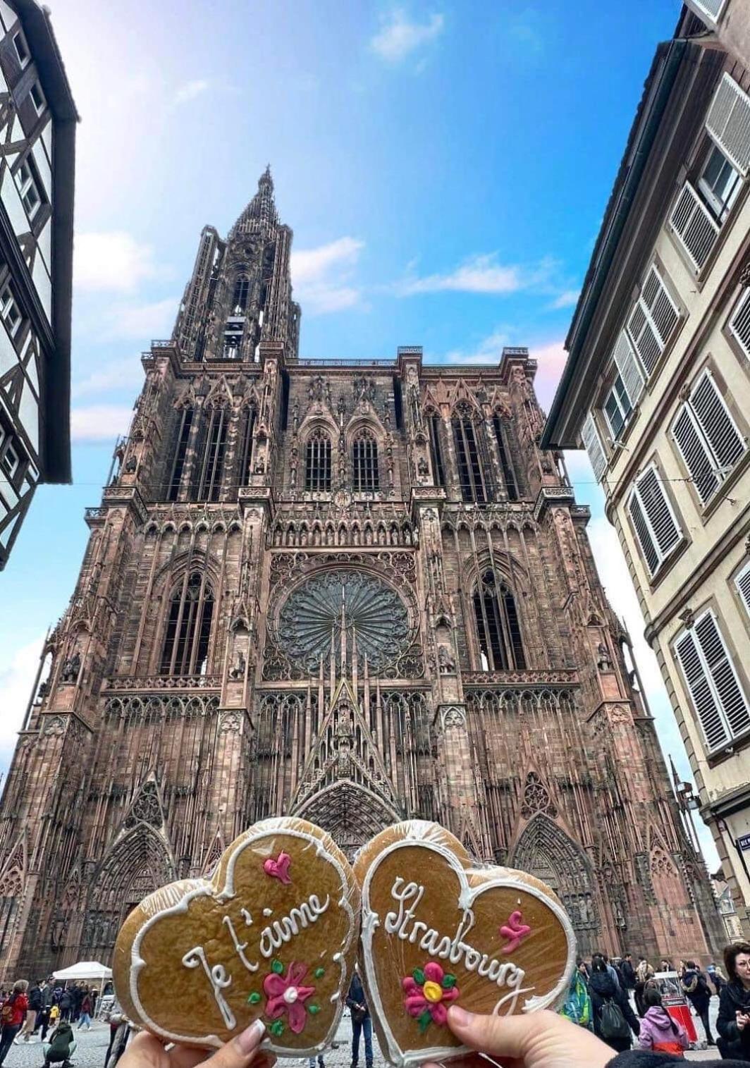 Appart & Studio Hyper Centre De Strasbourg - Proche Cathedrale & Petite France Zewnętrze zdjęcie