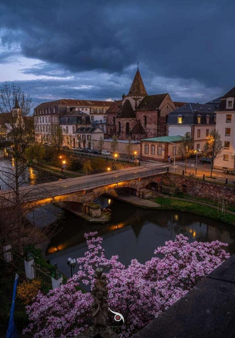 Appart & Studio Hyper Centre De Strasbourg - Proche Cathedrale & Petite France Zewnętrze zdjęcie